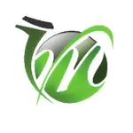 M Group